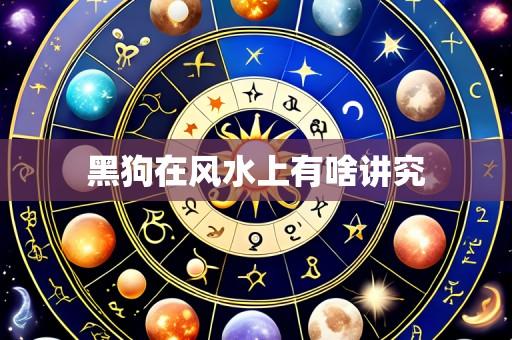 黑狗在风水上有啥讲究