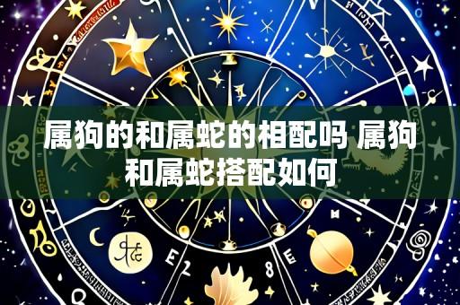 属狗的和属蛇的相配吗 属狗和属蛇搭配如何
