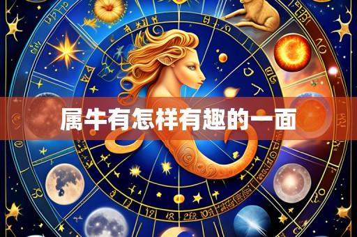 属牛有怎样有趣的一面