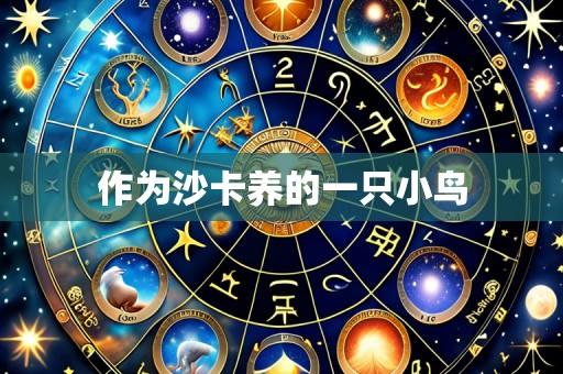 作为沙卡养的一只小鸟