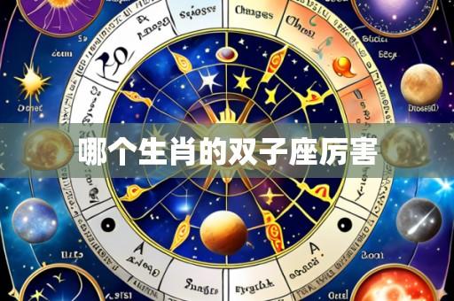 哪个生肖的双子座厉害