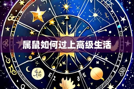 属鼠如何过上高级生活