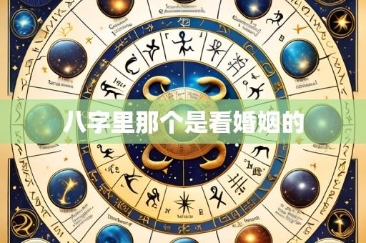八字里那个是看婚姻的