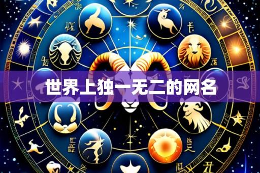 世界上独一无二的网名