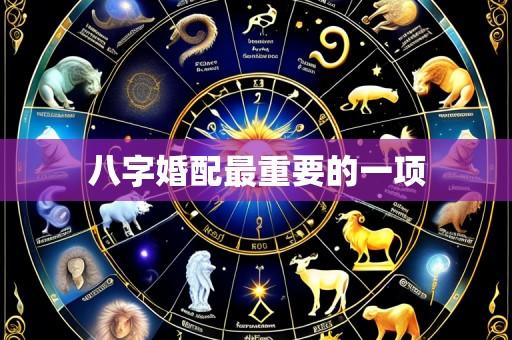 八字婚配最重要的一项