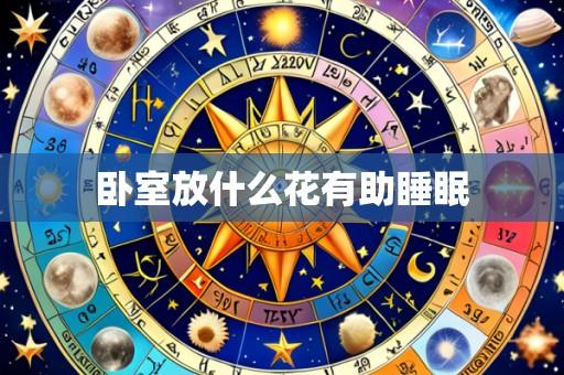 卧室放什么花有助睡眠