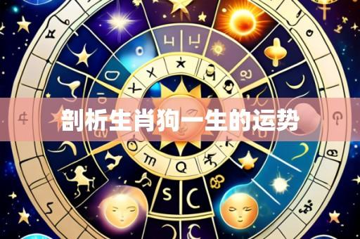 剖析生肖狗一生的运势