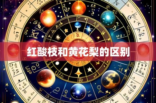 红酸枝和黄花梨的区别