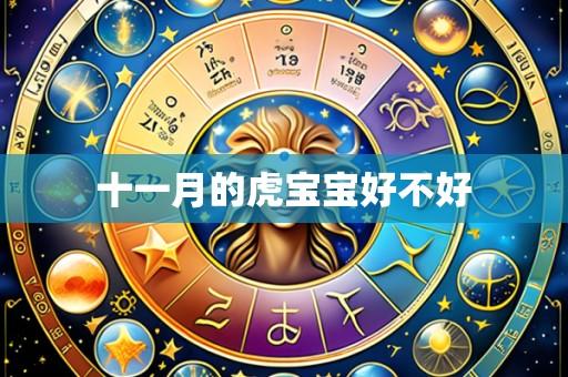 十一月的虎宝宝好不好