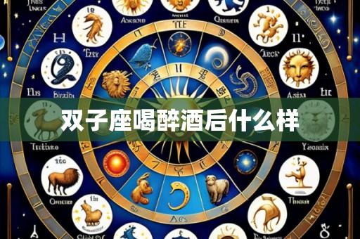 双子座喝醉酒后什么样