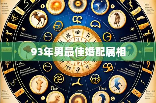 93年男最佳婚配属相