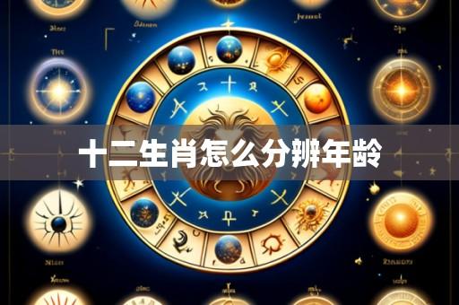 十二生肖怎么分辨年龄
