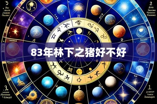 83年林下之猪好不好