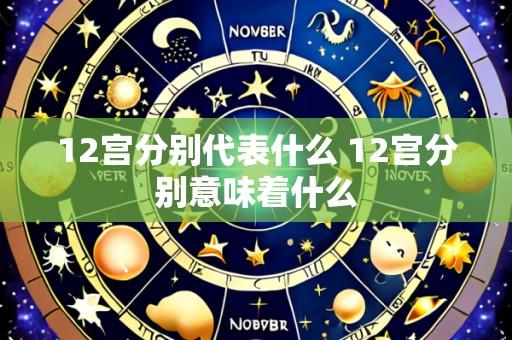 12宫分别代表什么 12宫分别意味着什么