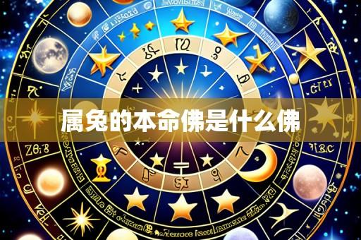属兔的本命佛是什么佛