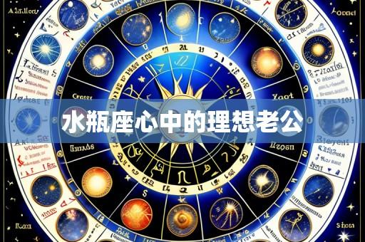 水瓶座心中的理想老公