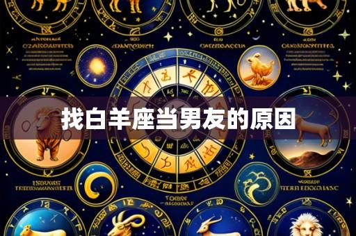找白羊座当男友的原因