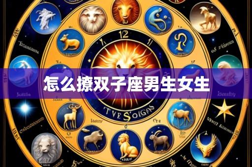 怎么撩双子座男生女生