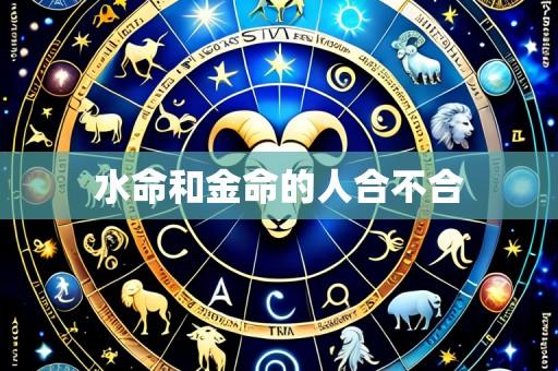 水命和金命的人合不合