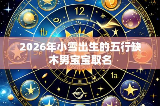 2026年小雪出生的五行缺木男宝宝取名