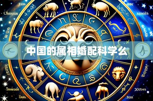 中国的属相婚配科学么