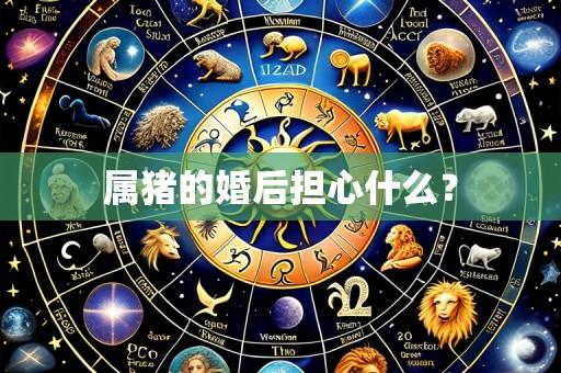 属猪的婚后担心什么?