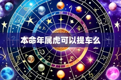 本命年属虎可以提车么