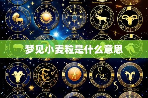 梦见小麦粒是什么意思