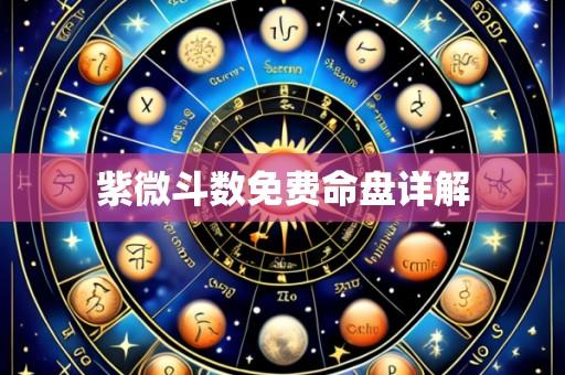 紫微斗数免费命盘详解