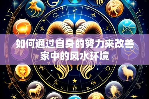 如何通过自身的努力来改善家中的风水环境