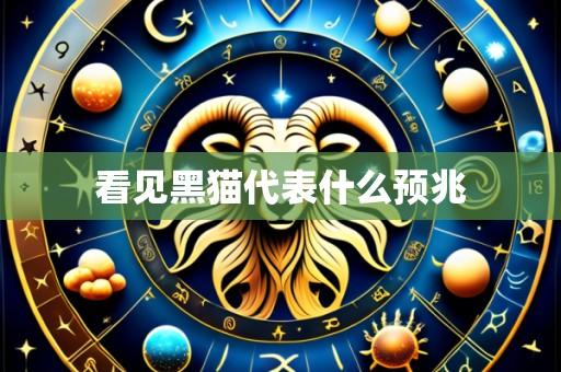 看见黑猫代表什么预兆