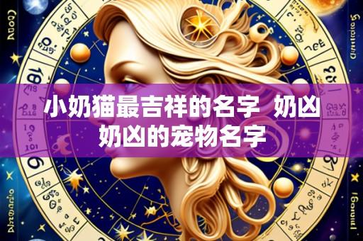 小奶猫最吉祥的名字  奶凶奶凶的宠物名字