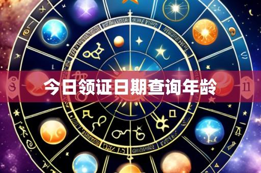 今日领证日期查询年龄