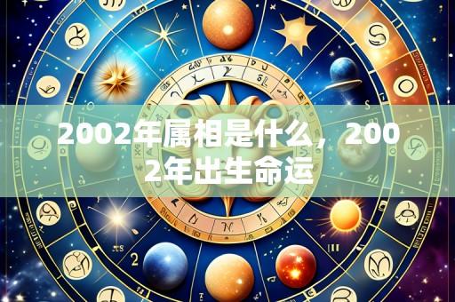 2002年属相是什么,2002年出生命运