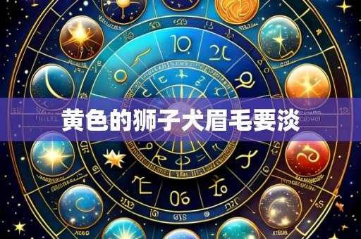 黄色的狮子犬眉毛要淡