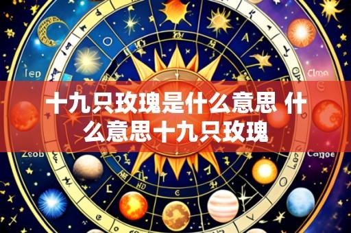 十九只玫瑰是什么意思 什么意思十九只玫瑰