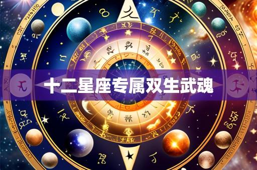 十二星座专属双生武魂