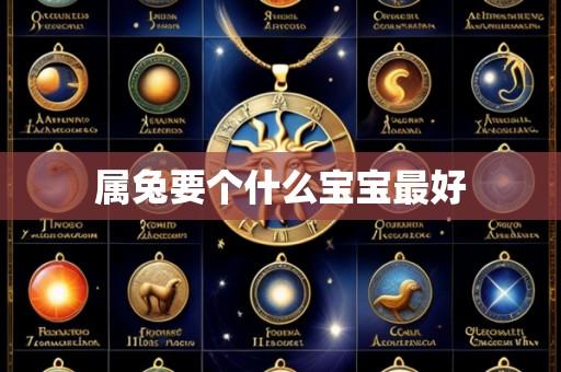 属兔要个什么宝宝最好