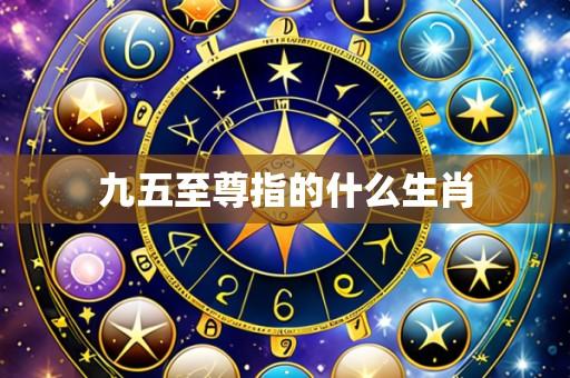 九五至尊指的什么生肖