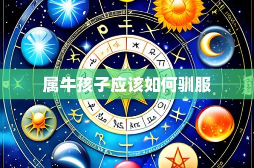 属牛孩子应该如何驯服