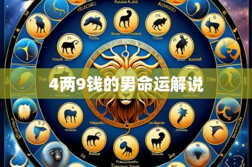 4两9钱的男命运解说