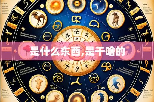 是什么东西,是干啥的