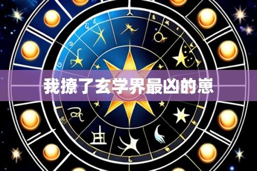 我撩了玄学界最凶的崽