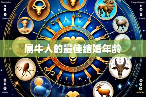 属牛人的最佳结婚年龄