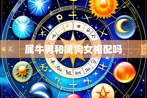 属牛男和属狗女相配吗