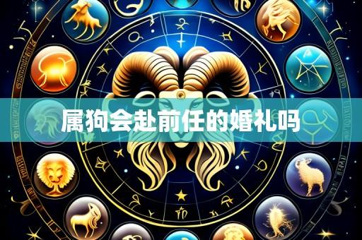属狗会赴前任的婚礼吗