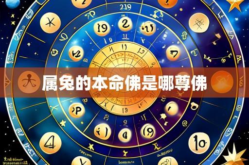 属兔的本命佛是哪尊佛