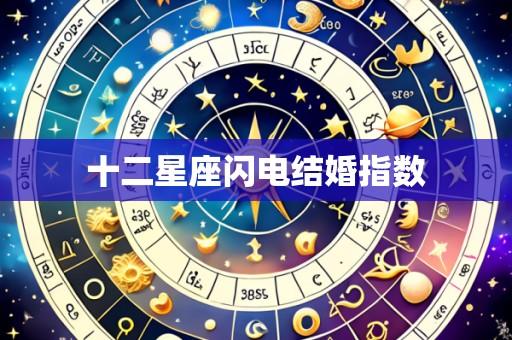 十二星座闪电结婚指数