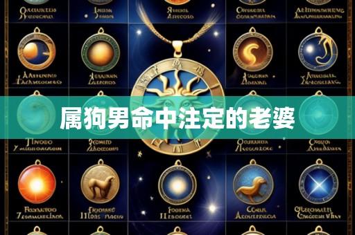 属狗男命中注定的老婆