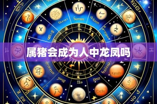 属猪会成为人中龙凤吗